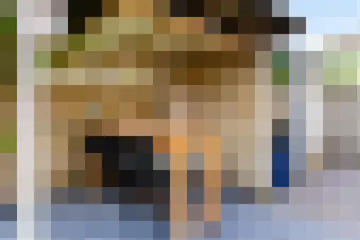 de Schaarsen 4 Heeten thumbnail 24