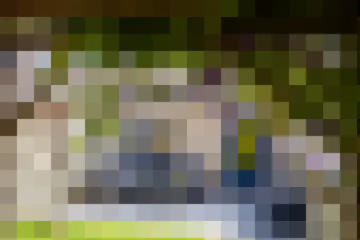 de Schaarsen 4 Heeten thumbnail 26