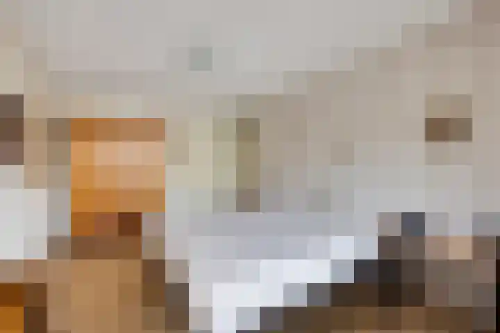 De Schaatsenmaker 16 Veldhoven thumbnail 37