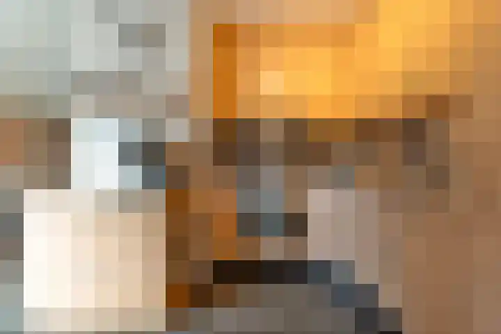 De Schadde 9 Slagharen thumbnail 10