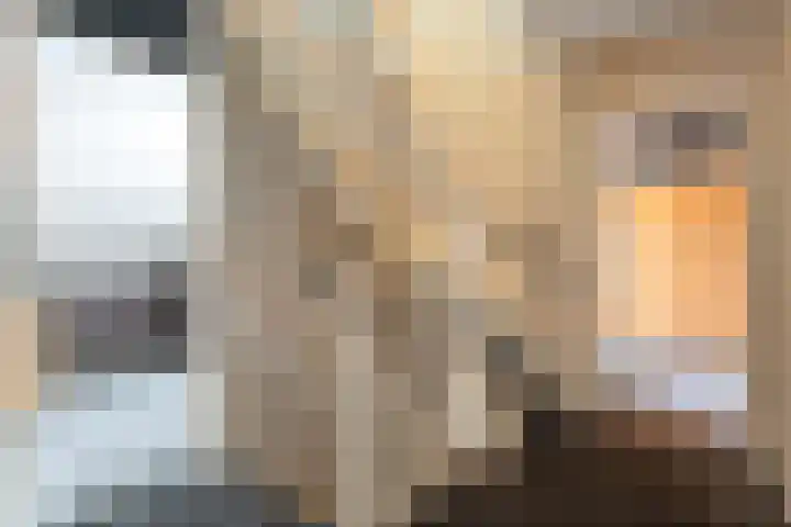 De Schadde 9 Slagharen thumbnail 13