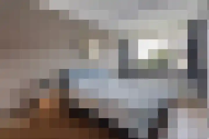 De Schadde 9 Slagharen thumbnail 15