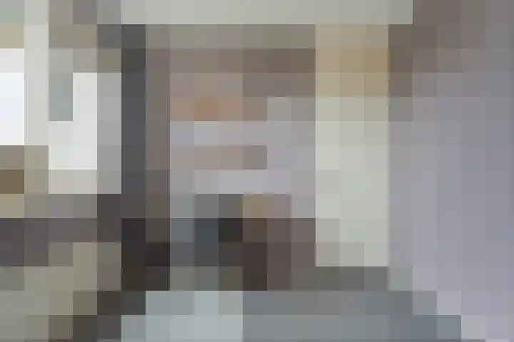 De Schadde 9 Slagharen thumbnail 23