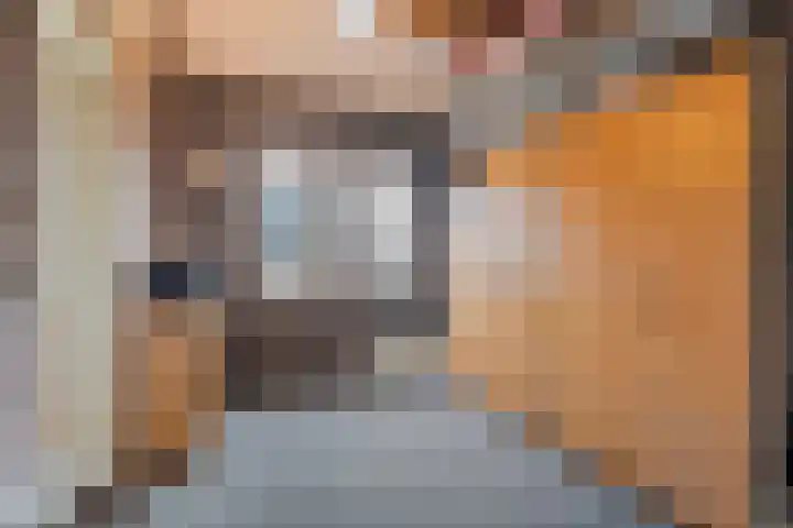 De Schadde 9 Slagharen thumbnail 24