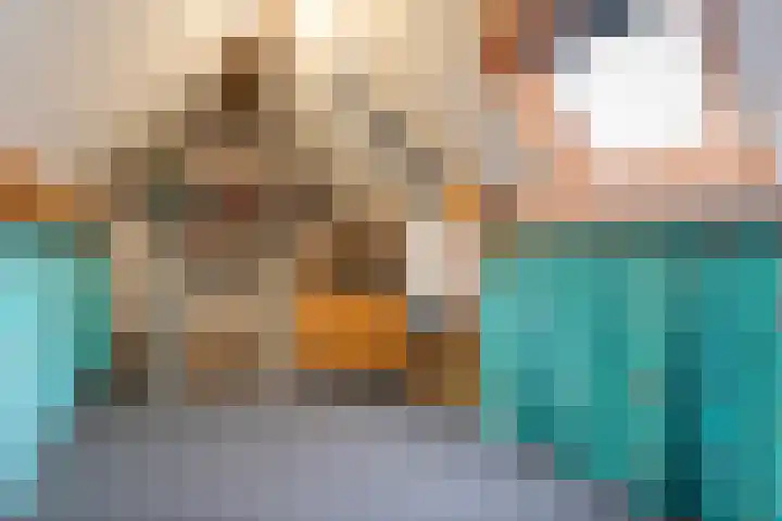 De Schadde 9 Slagharen thumbnail 27