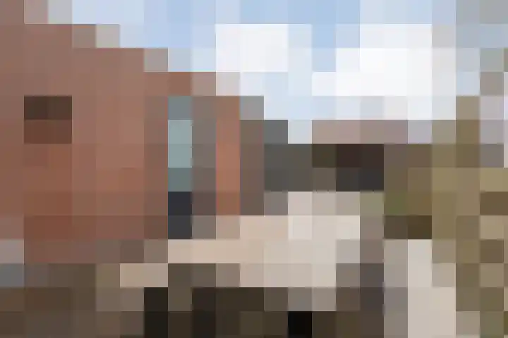 De Schadde 9 Slagharen thumbnail 28