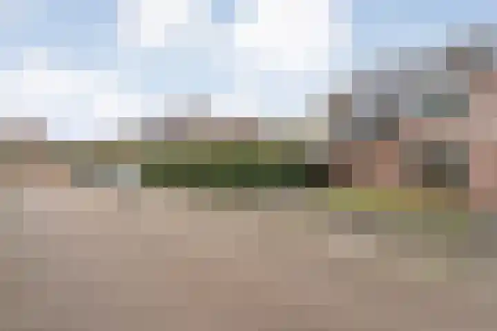 De Schadde 9 Slagharen thumbnail 37
