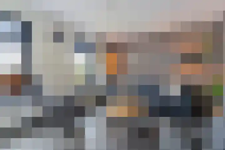 De Schadde 9 Slagharen thumbnail 6
