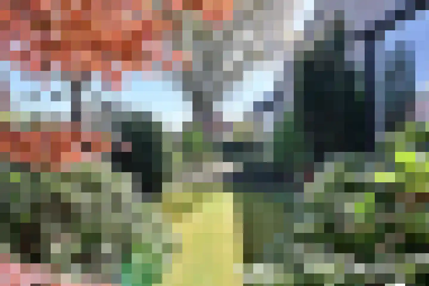 De Schaepstal 8 Laren thumbnail 12
