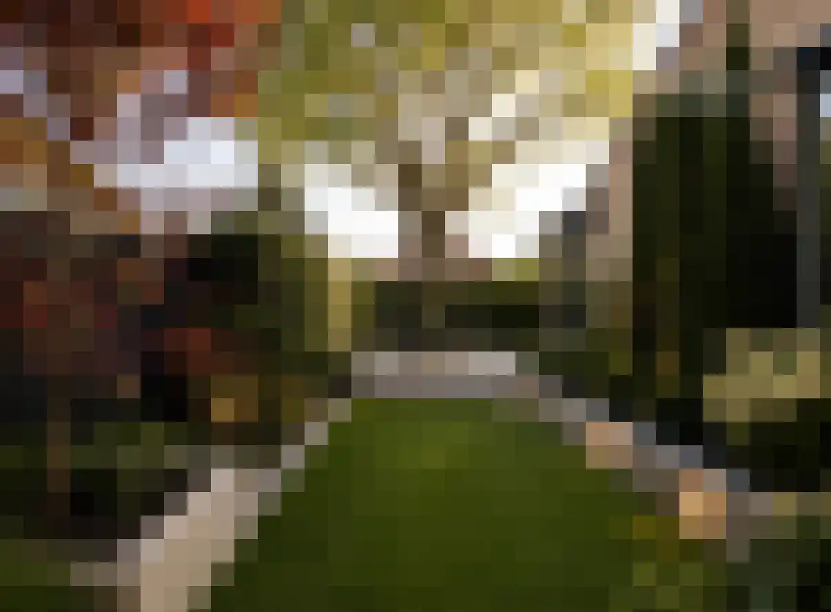 De Schaepstal 8 Laren thumbnail 17