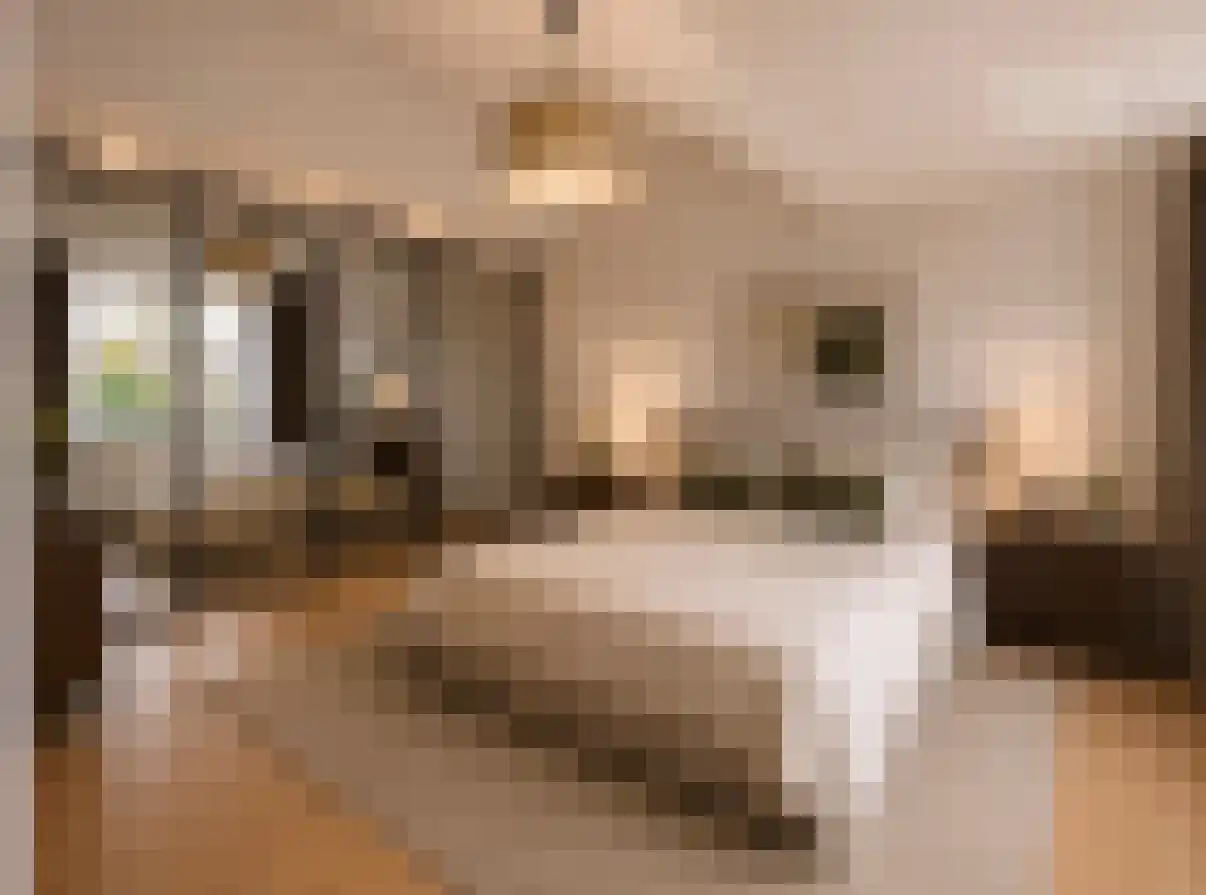 De Schaepstal 8 Laren thumbnail 22