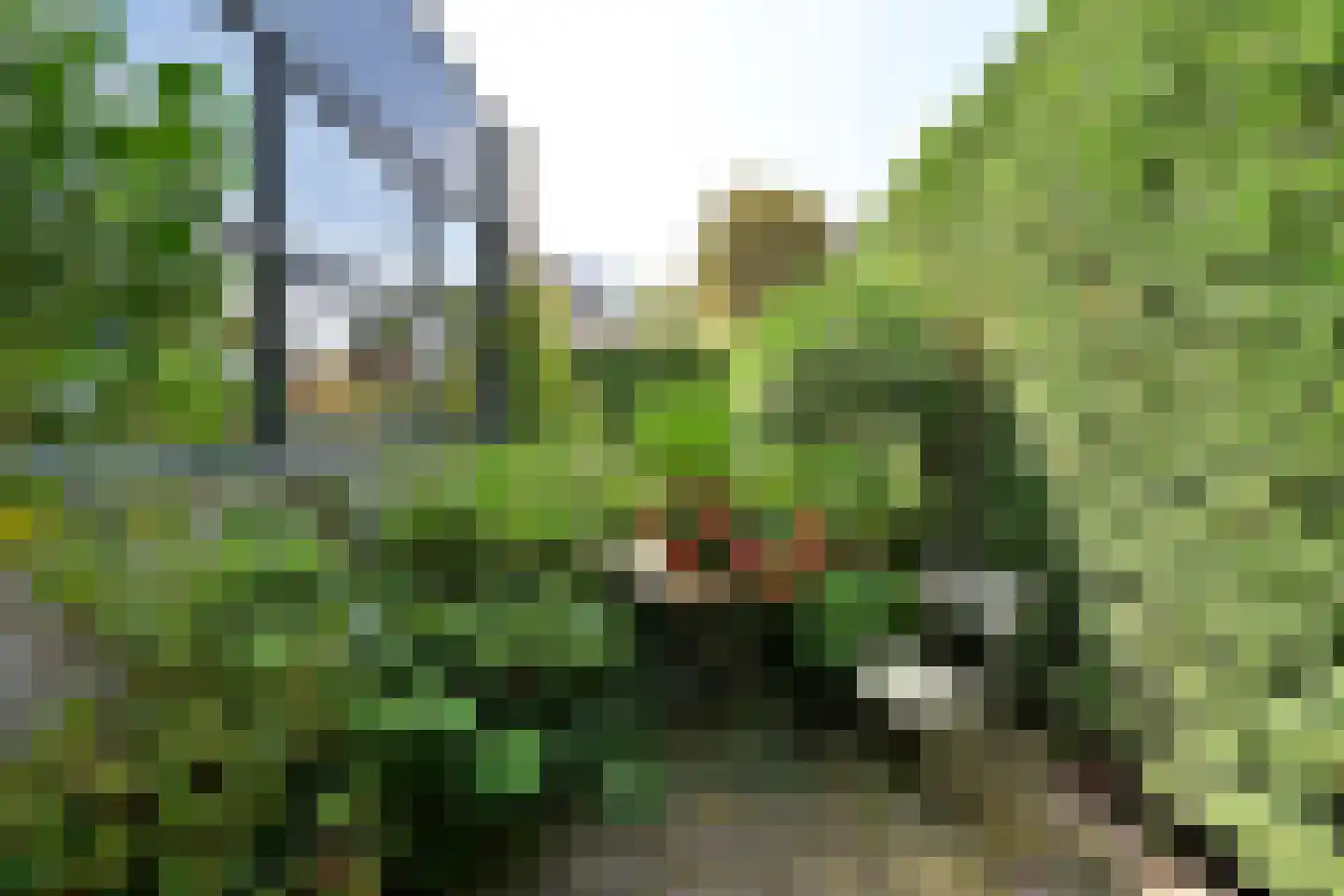 De Schaepstal 8 Laren thumbnail 22