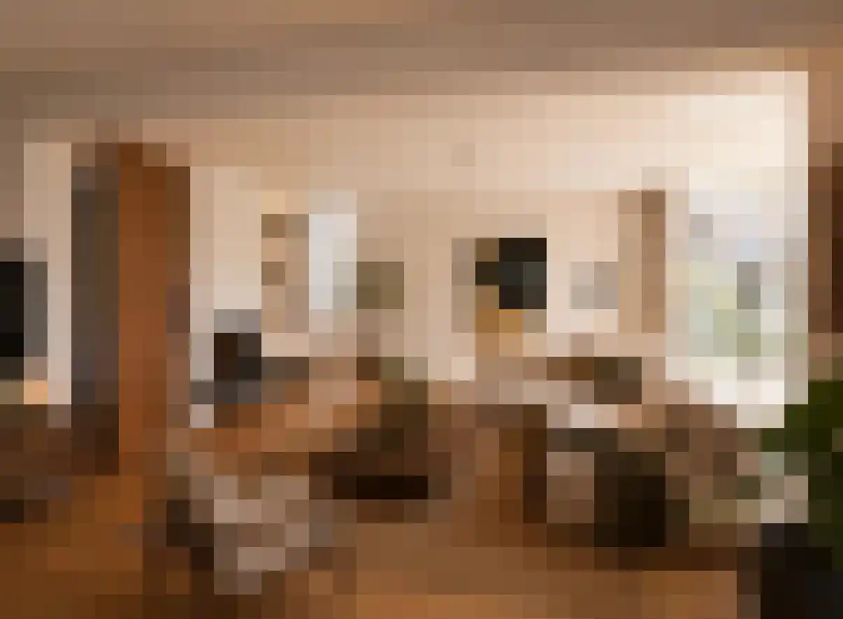 De Schaepstal 8 Laren thumbnail 6