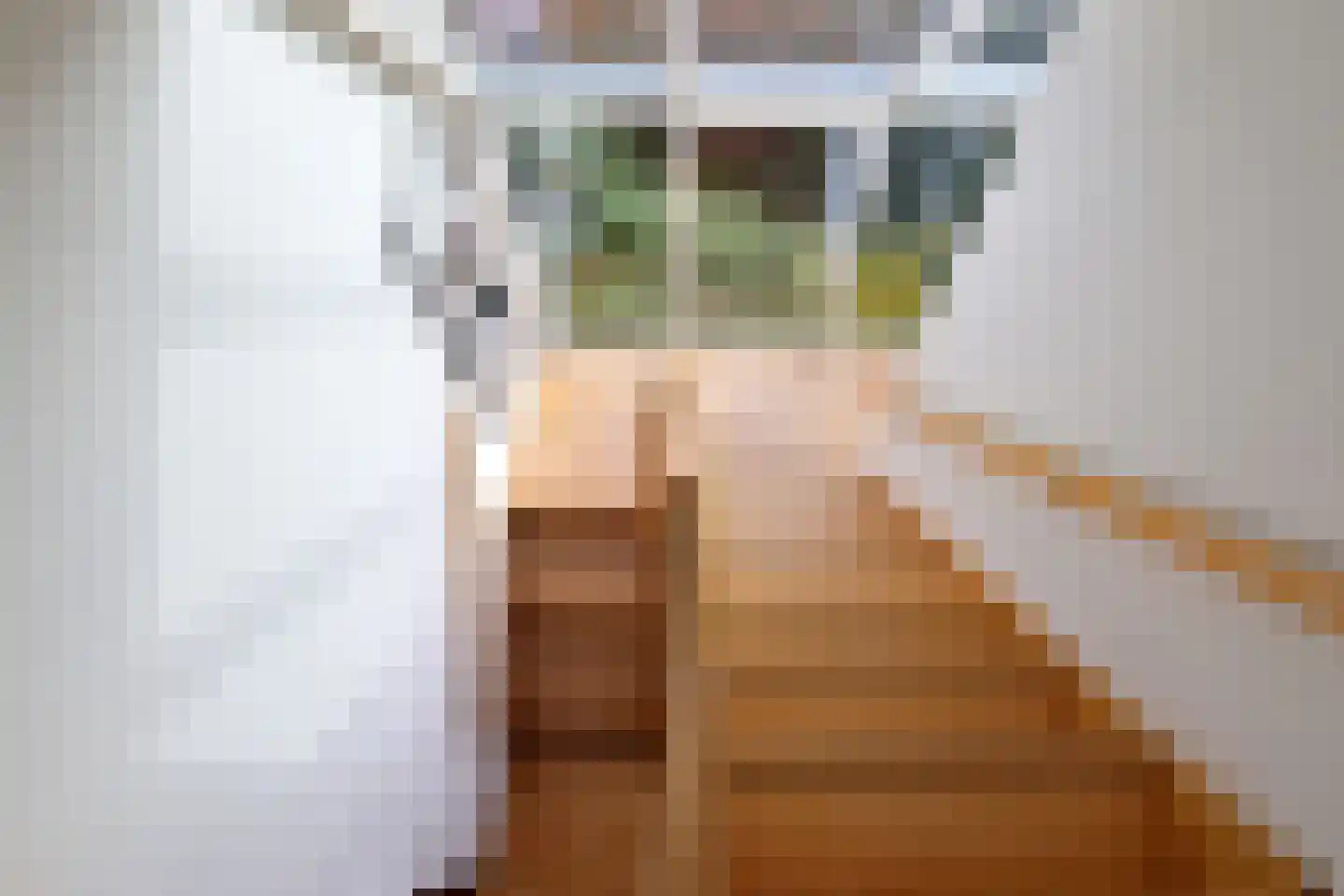 De Schaepstal 8 Laren thumbnail 8