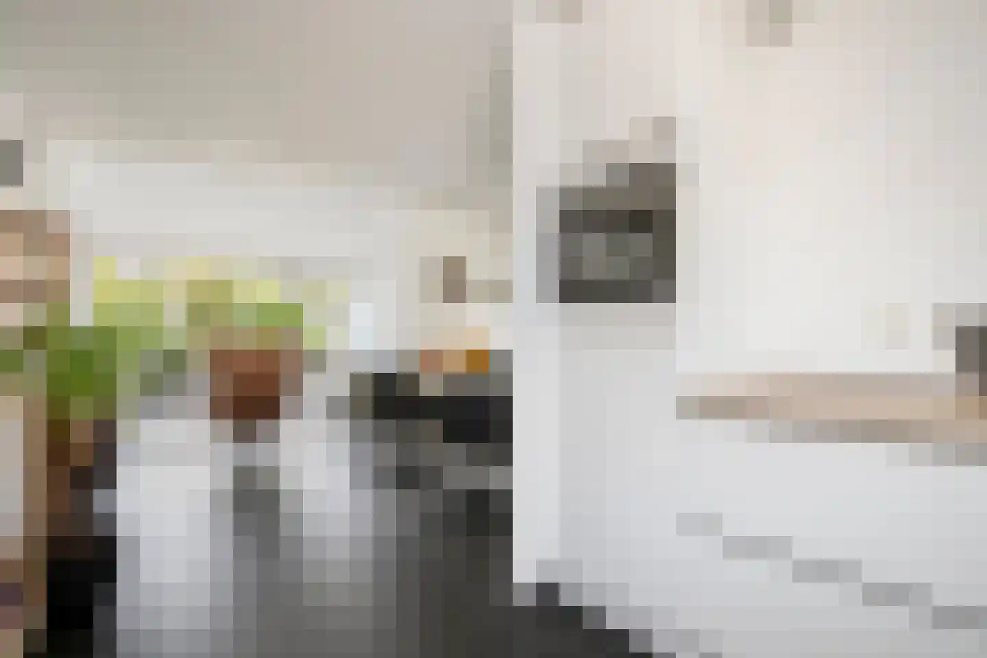 De Schagense Snees 2 Dronten thumbnail 15