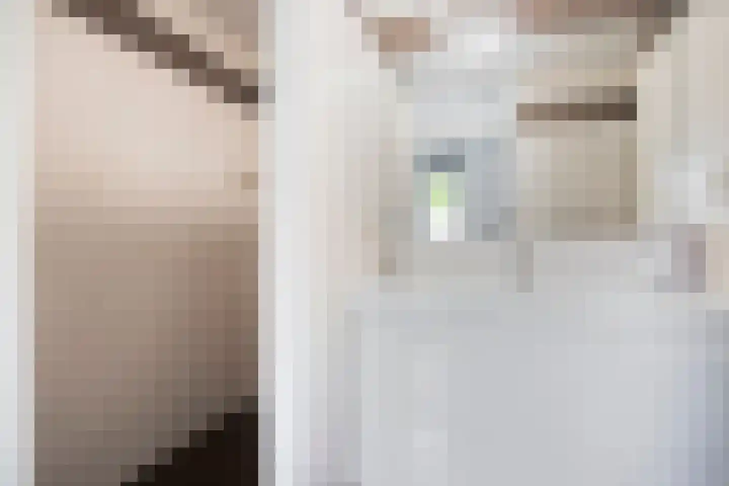 De Schagense Snees 2 Dronten thumbnail 20