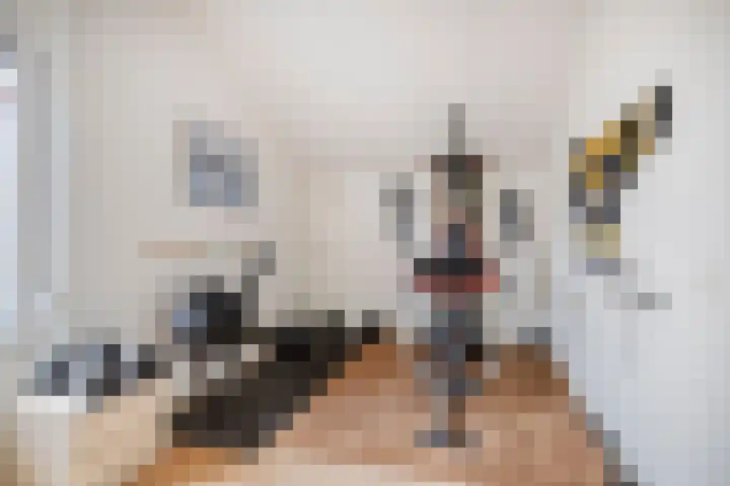 De Schagense Snees 2 Dronten thumbnail 25