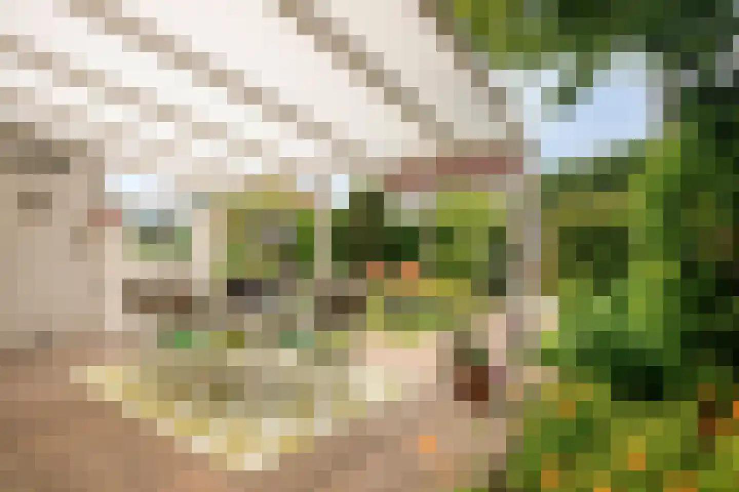 De Schagense Snees 2 Dronten thumbnail 31