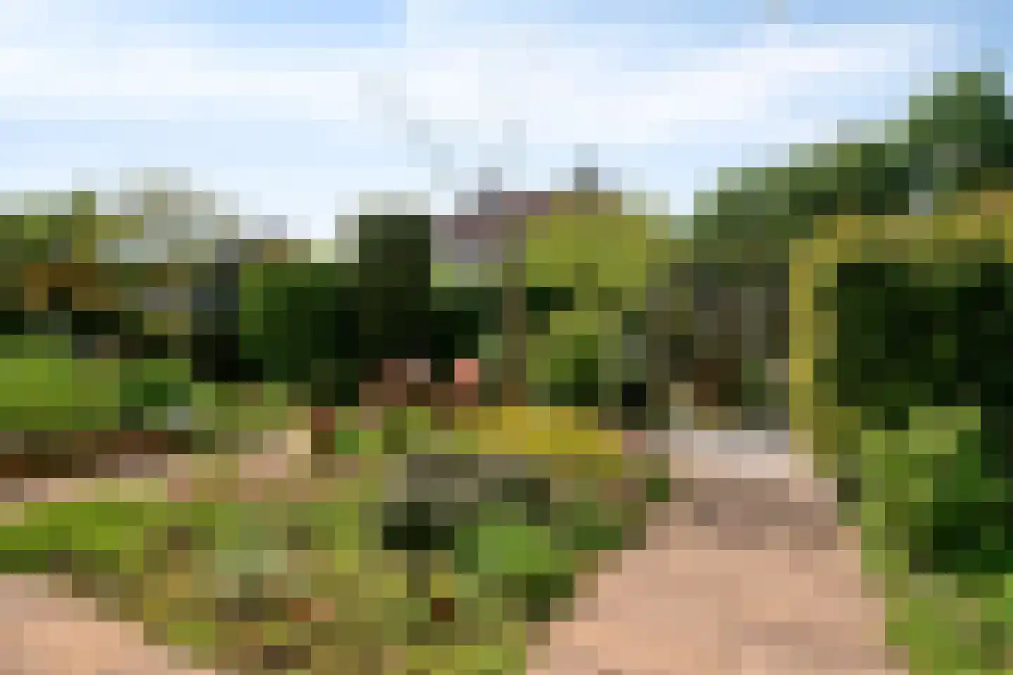 De Schagense Snees 2 Dronten thumbnail 32