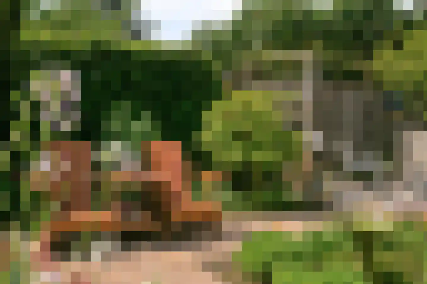 De Schagense Snees 2 Dronten thumbnail 34