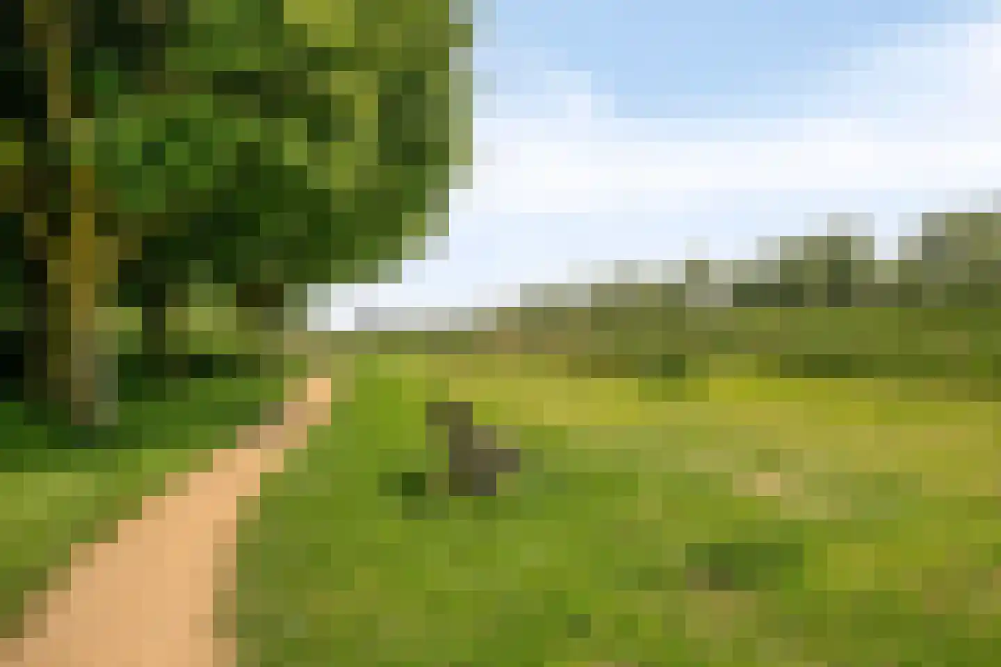 De Schagense Snees 2 Dronten thumbnail 42