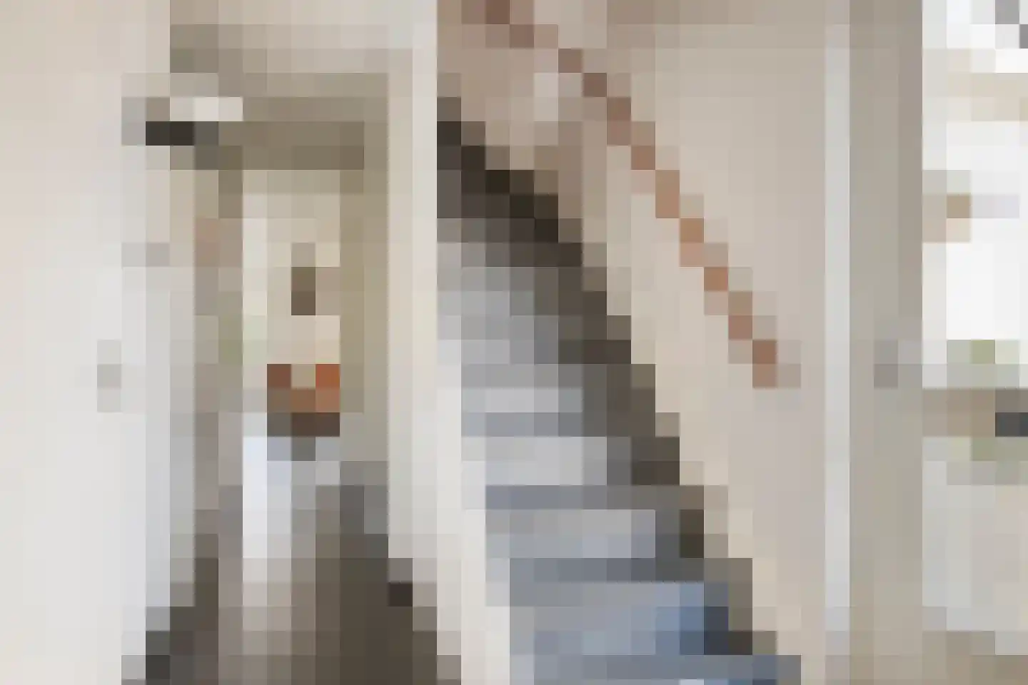 De Schagense Snees 2 Dronten thumbnail 7