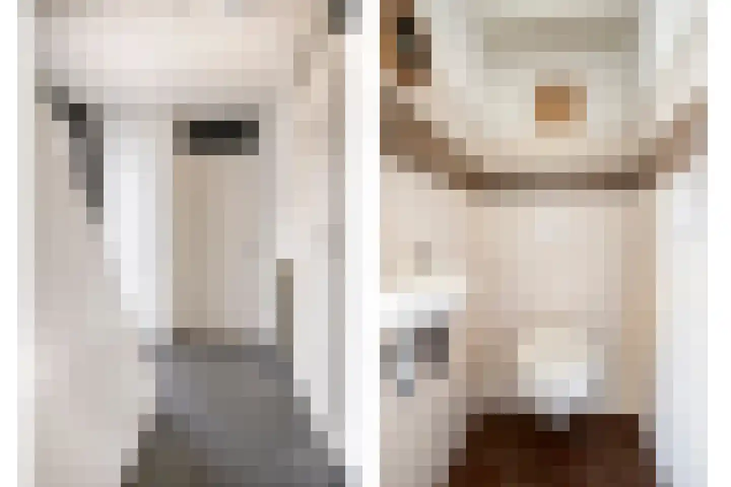 De Schagense Snees 2 Dronten thumbnail 8