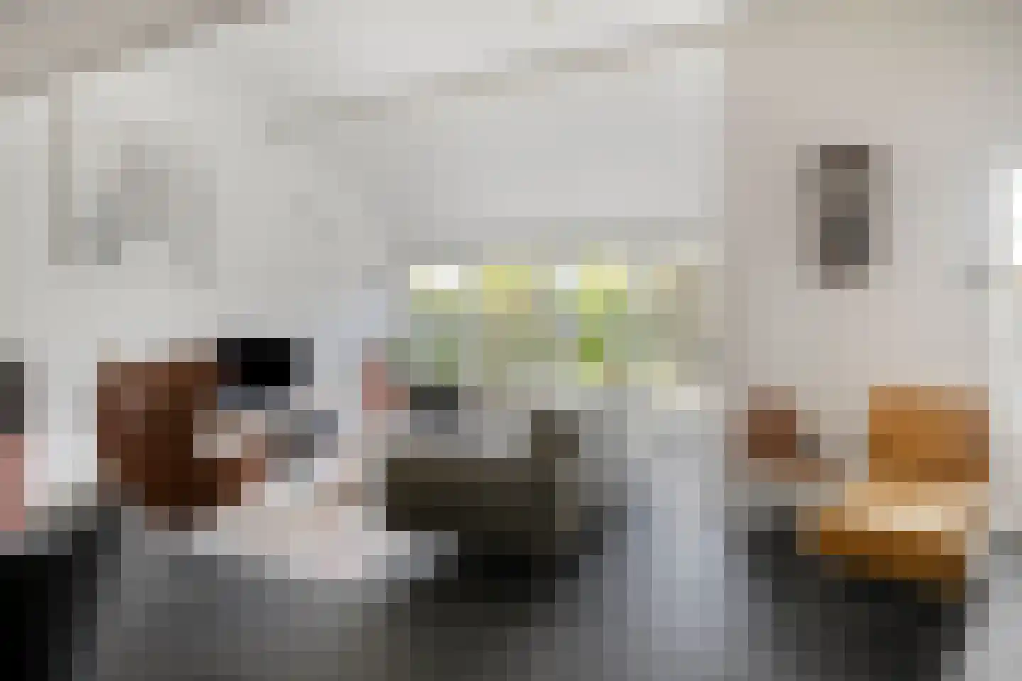 De Schagense Snees 2 Dronten thumbnail 9