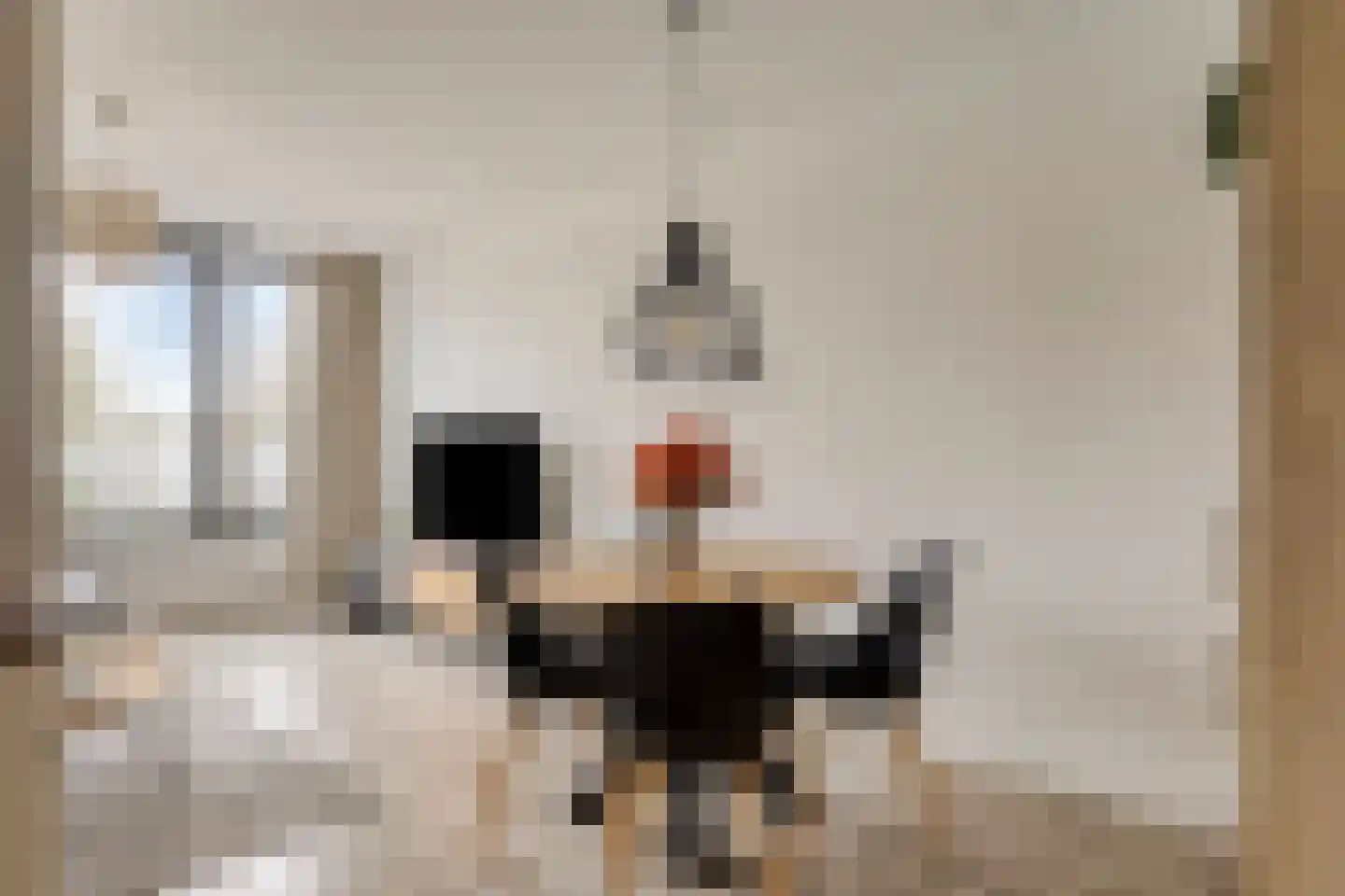 De Schakel 15 Best thumbnail 14