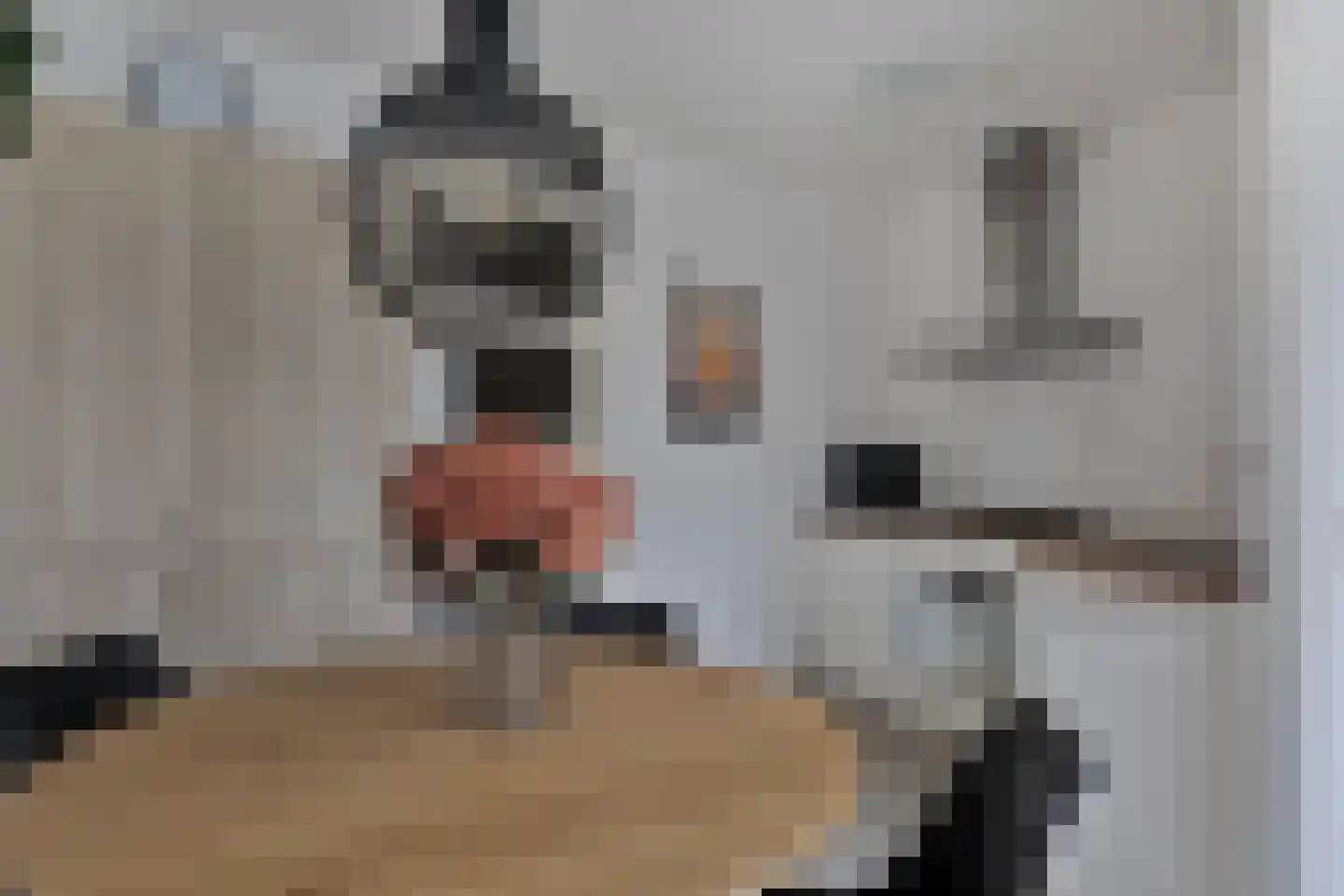 De Schakel 15 Best thumbnail 17