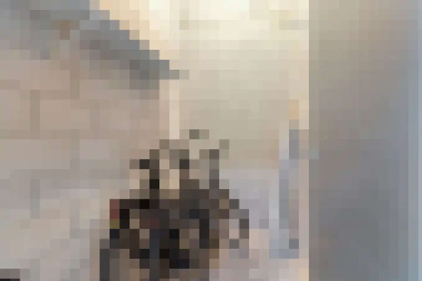 De Schakel 15 Best thumbnail 31