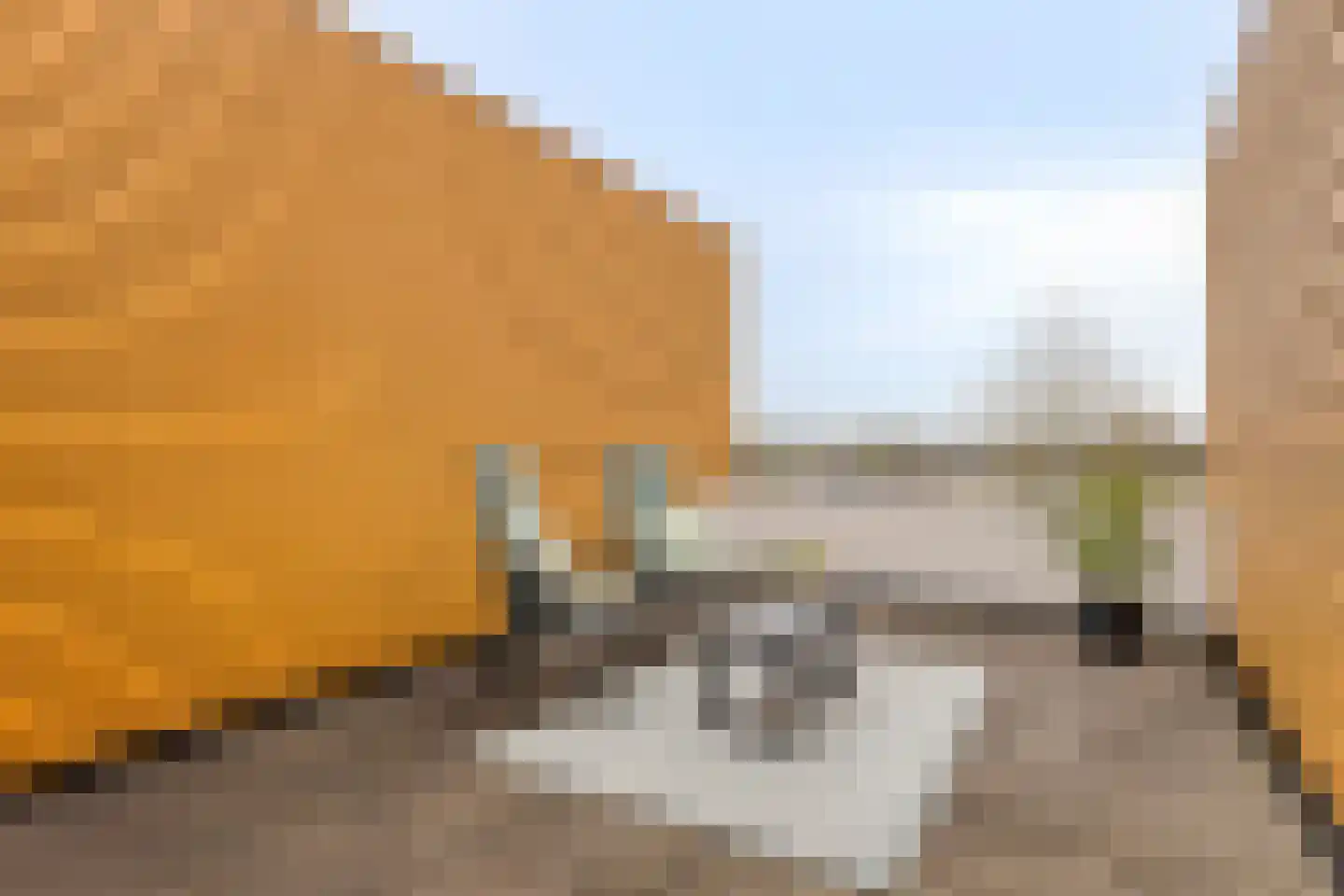 De Schakel 15 Best thumbnail 5