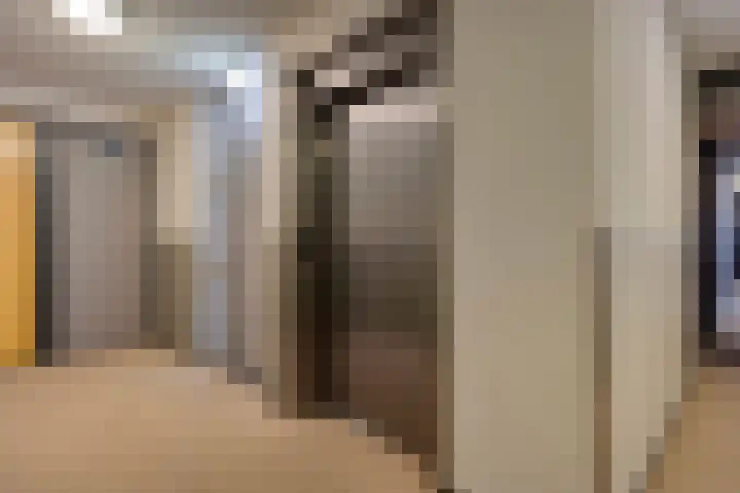 De Schakel 15 Best thumbnail 9