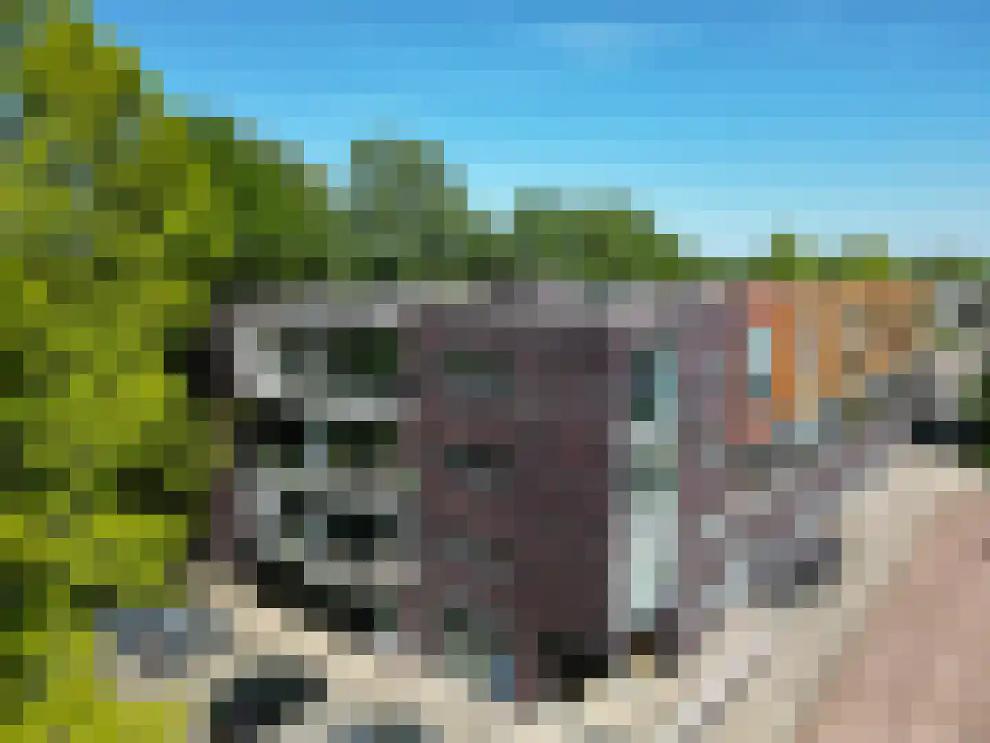 De Schakel 37 Best