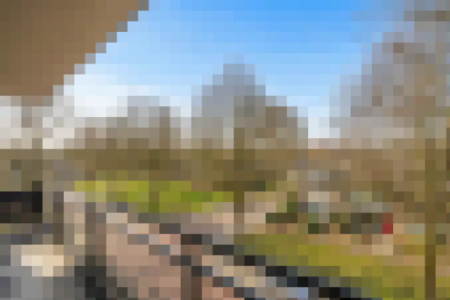 De Schakel 39 Best thumbnail 10
