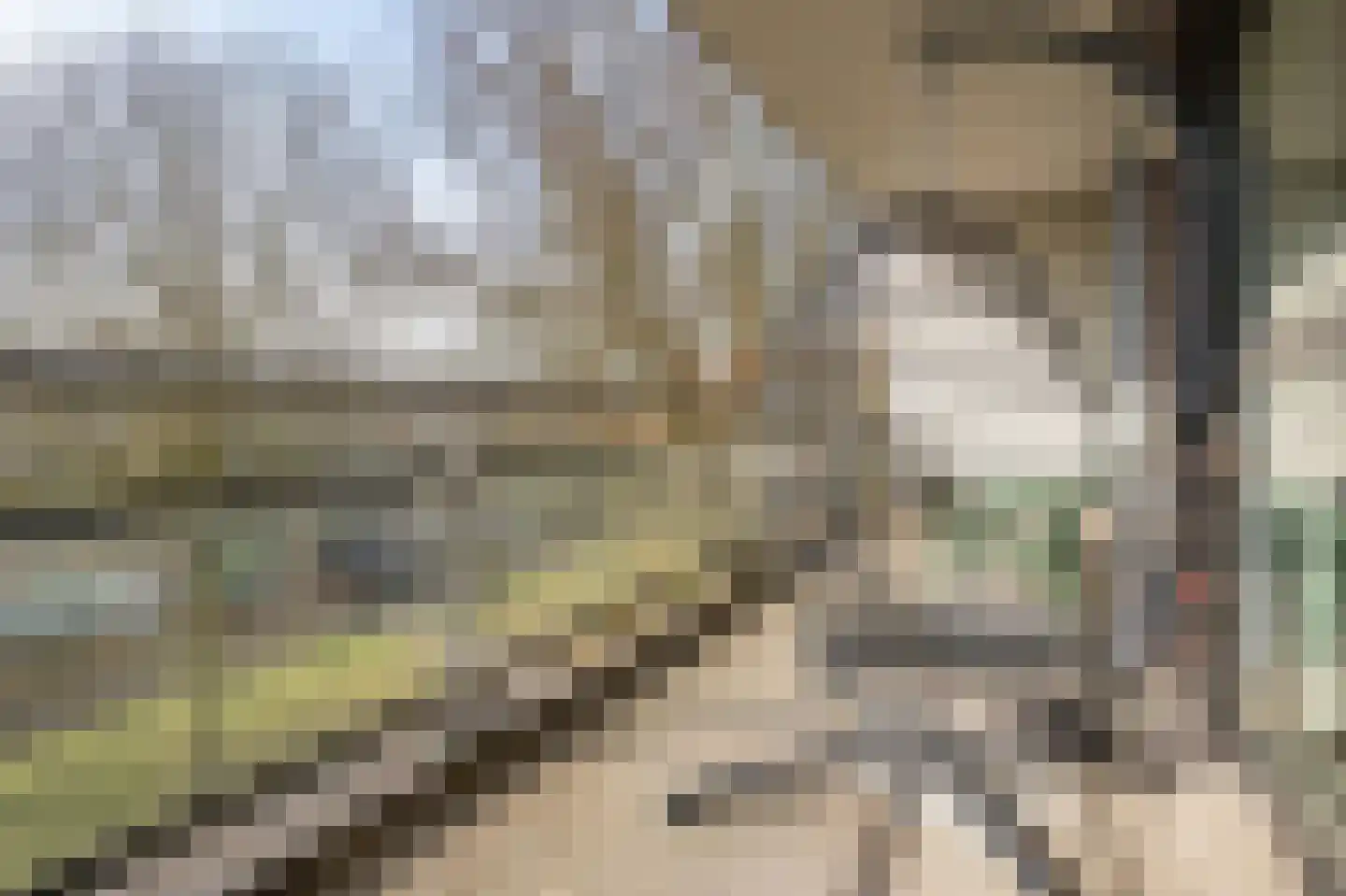 De Schakel 39 Best thumbnail 11