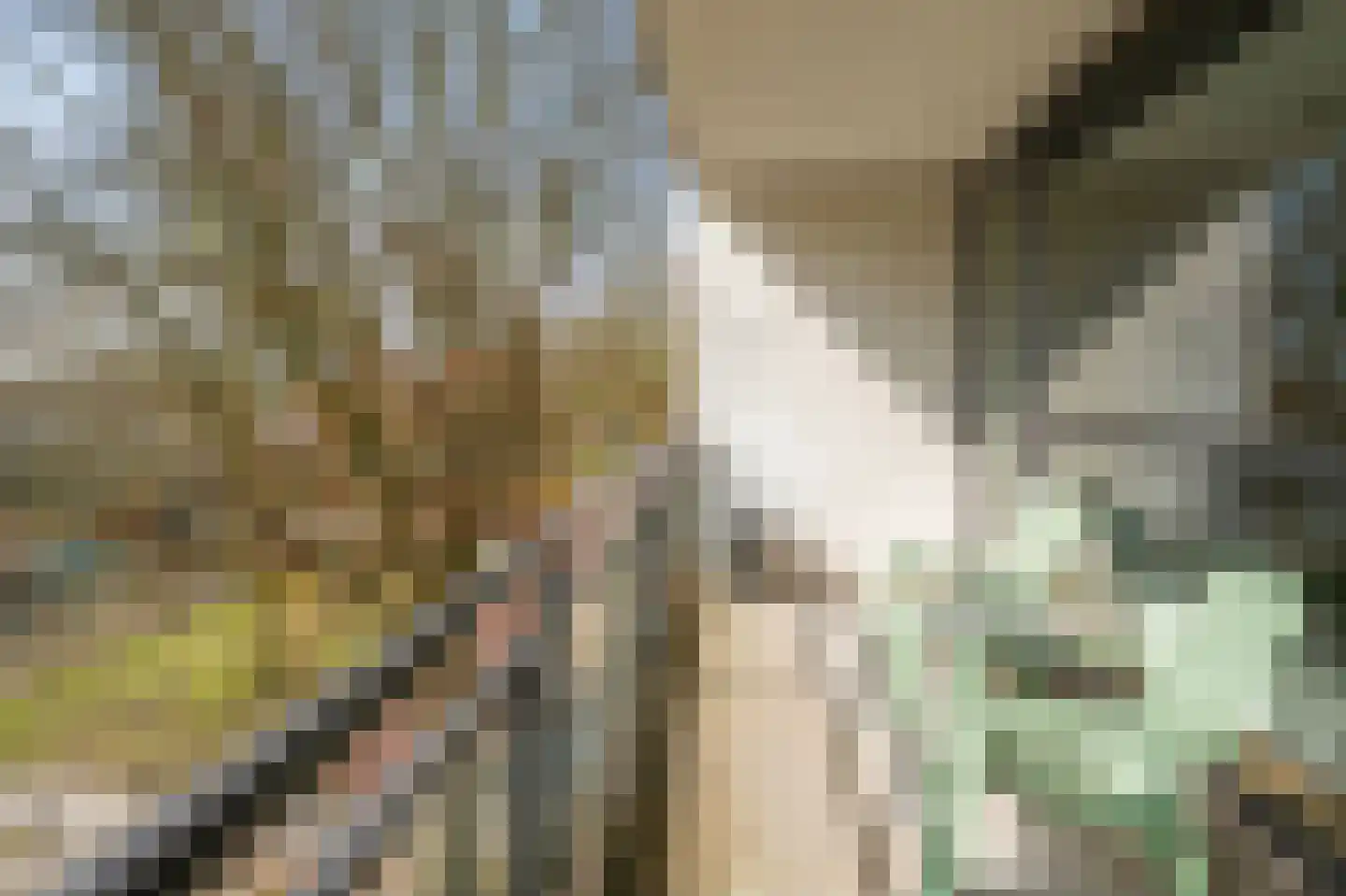 De Schakel 39 Best thumbnail 12
