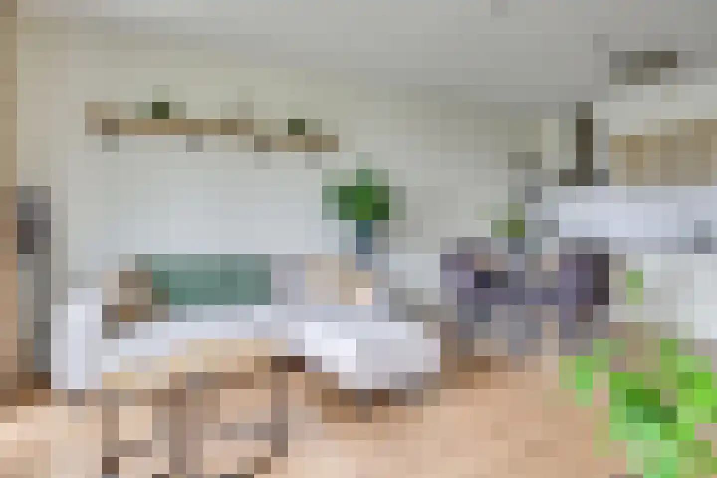 De Schakel 39 Best thumbnail 4