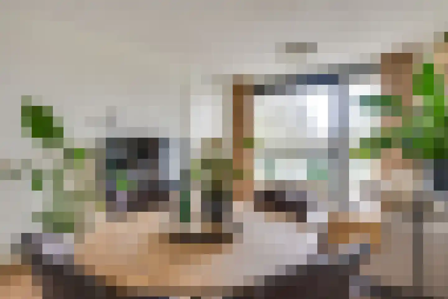 De Schakel 39 Best thumbnail 5