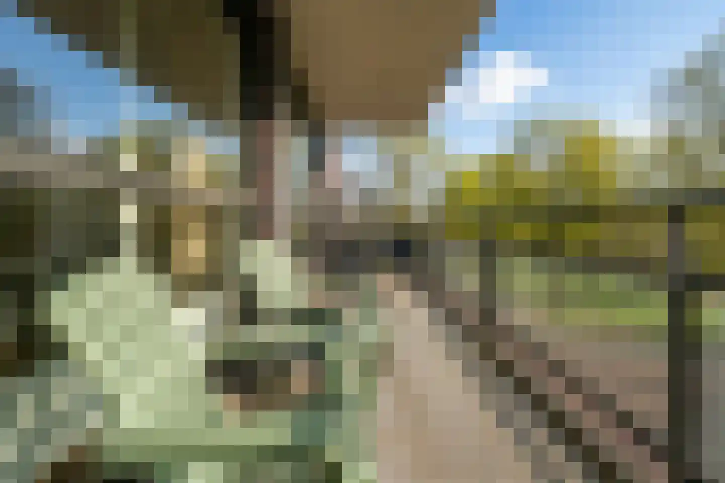De Schakel 39 Best thumbnail 9