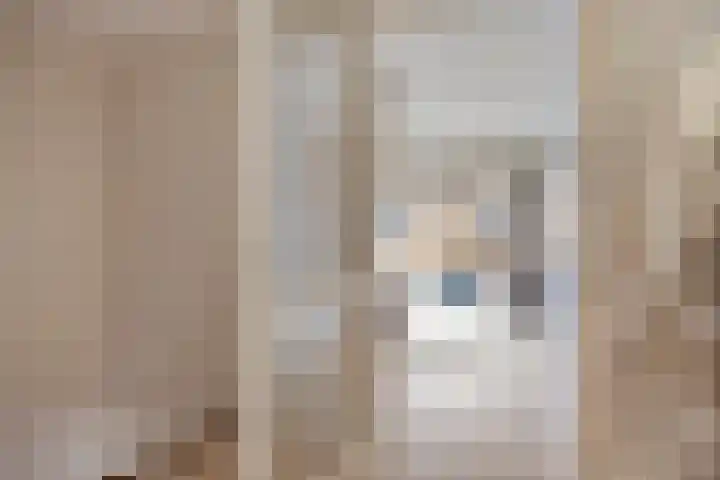 De Schakel 49 Best thumbnail 14