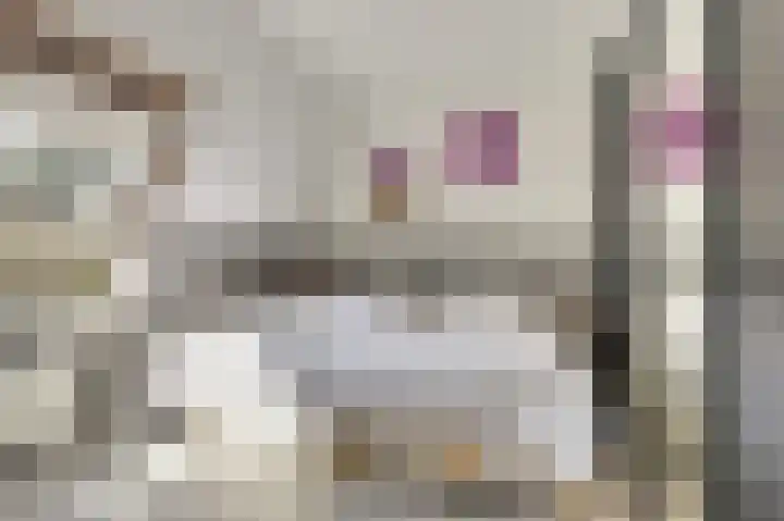 De Schakel 49 Best thumbnail 15