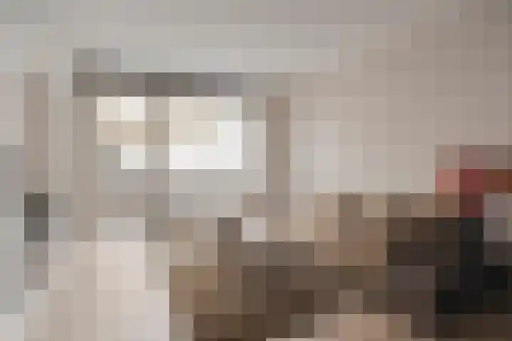 De Schakel 49 Best thumbnail 18