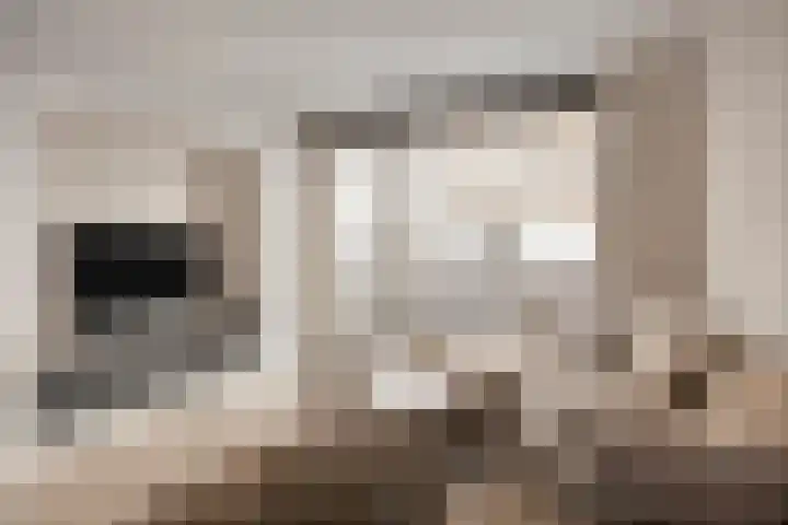 De Schakel 49 Best foto 2