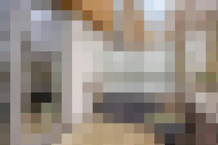 De Schakel 49 Best thumbnail 27