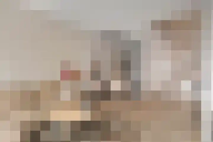 De Schakel 49 Best foto 3