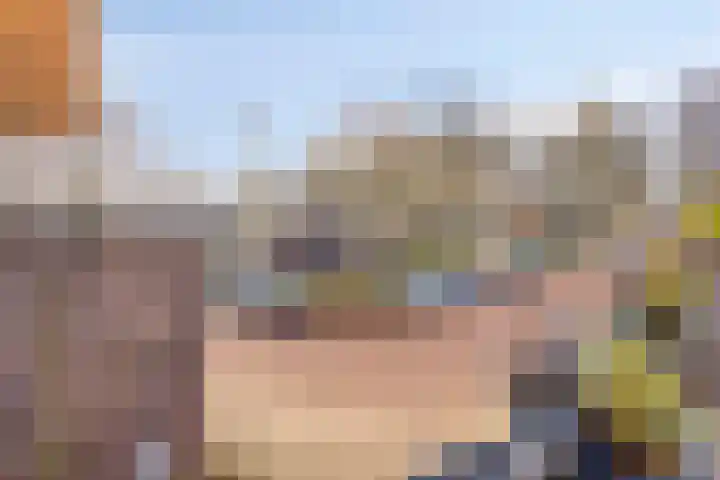 De Schakel 49 Best thumbnail 35