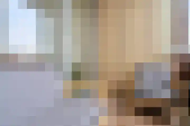De Schakel 49 Best thumbnail 40
