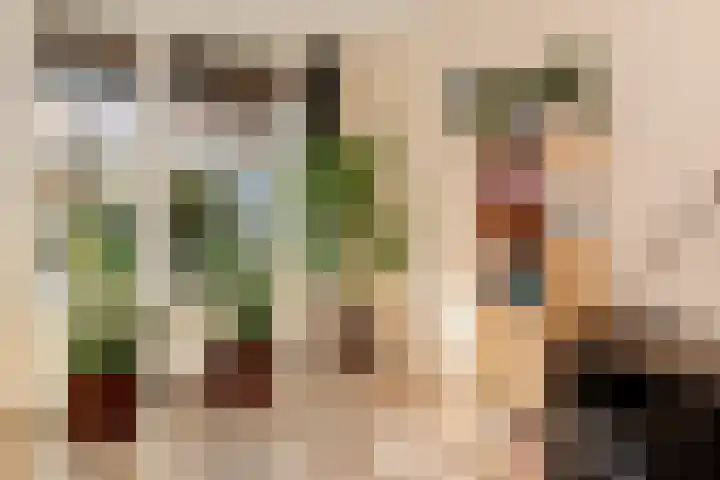 De Schakel 49 Best thumbnail 6