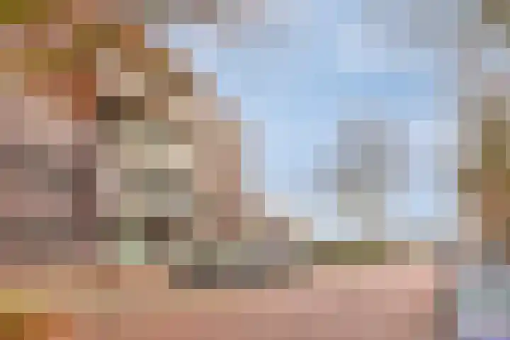 De Schakel 49 Best thumbnail 7